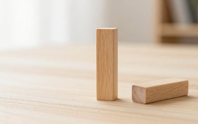 Best Push Sticks and Push Blocks for Table Saw Safety